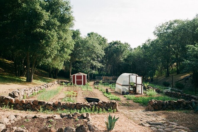Private Farm Workshop in Napa Valley - Key highlights at Stepping Stone Farm