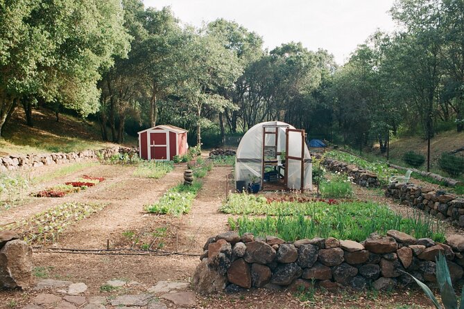 Private Farm Workshop in Napa Valley - A Private Napa Valley Farm Workshop in the Mountains Above the Vines