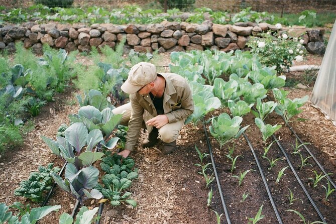 Private Farm Workshop in Napa Valley - Turning Garden Lessons Into Advice for Your Own Microclimate