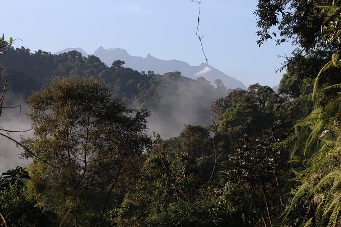 Private Full-Day Mindo Cloud Forest,Butterfly Farm, Chocolate Tour bird watching - San Tadeo Birding: hummingbirds up close