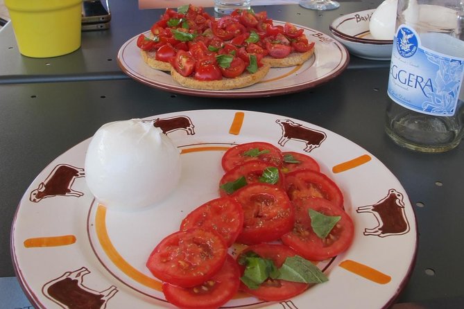 Private guided tour of Paestum and Buffalo Mozzarella farm lunch - Paestum e Velia: Greek and Roman ruins with a guide you can actually question
