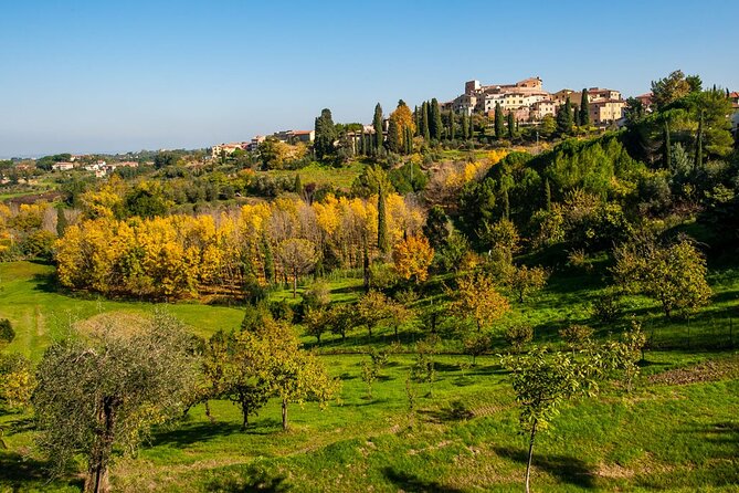 Private Guided Tour to Pisa and local Wine Farm from Livorno port - What to Expect From the Guides and the Vibe