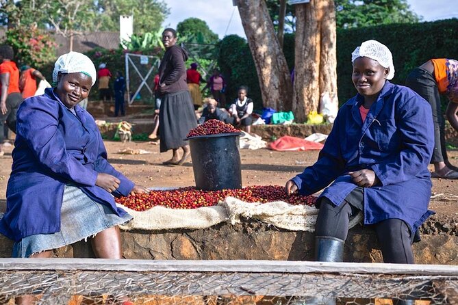 Private Half-Day Tour in Fairview Coffee Farm from Nairobi - Entering Fairview: what the farm briefing sets up