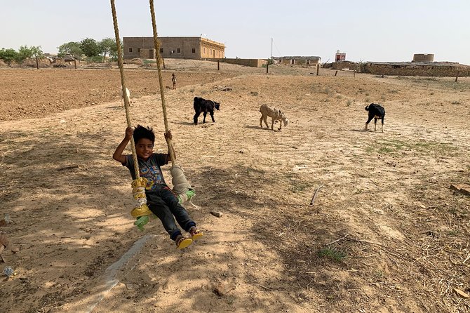 Private Jaisalmer Rural Farm Tour - Key Highlights You Should Know Before You Go