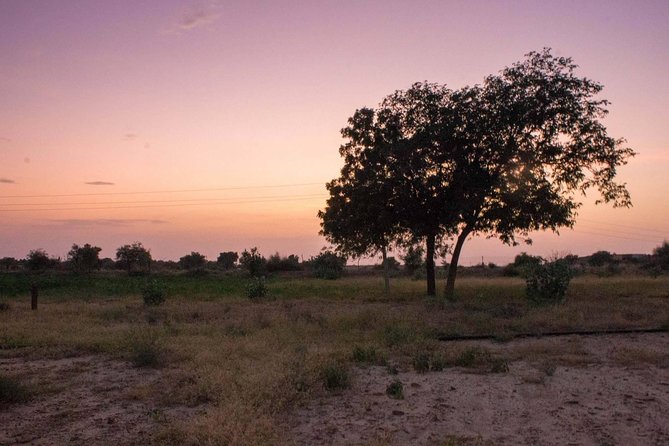 Private Jaisalmer Rural Farm Tour - From City Center to Rural Calm: How the Tour Flows