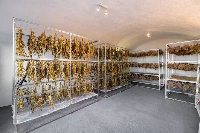 Private Olive Oil tasting & Liqueur experience - Thyme and caper infusions plus the herb-drying cave effect