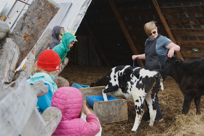 Private Tour at Historic Alaska Dairy Farm - What you’ll do on the tour (and when it happens)