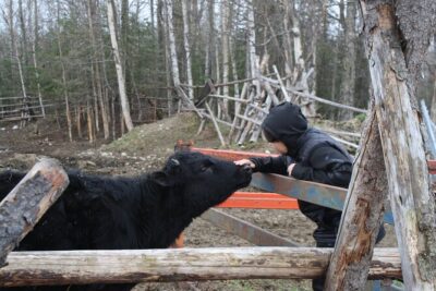 Private Tour at Historic Alaska Dairy Farm - Why the private format is such good value