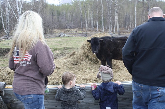Private Tour at Historic Alaska Dairy Farm - The animals aren’t just decoration
