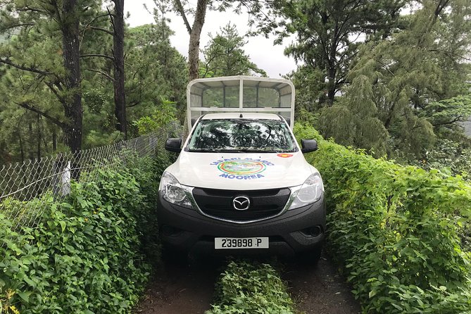 Private Tour Moorea 4WD - Belvedere Pineapple Farm, Magic Mount. - Moorea Tropical Garden: Vanilla, Flowers, and Jam Tasting With a Panoramic Twist