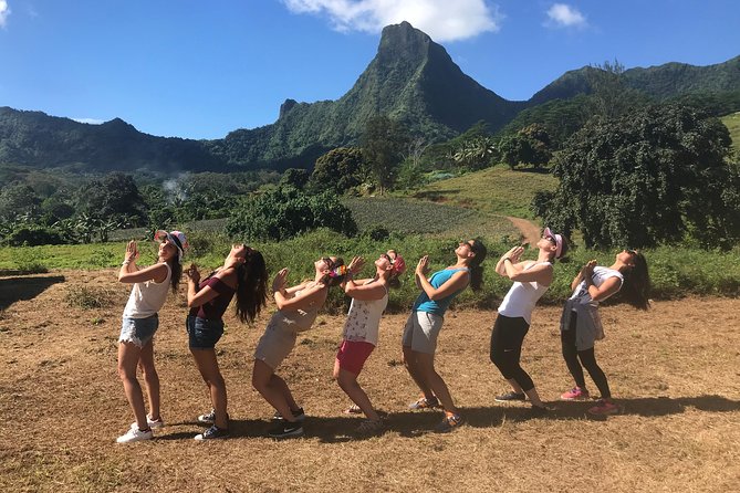 Private Tour Moorea 4WD - Belvedere Pineapple Farm, Magic Mount. - Value Check: Is $500 per Group a Good Deal?