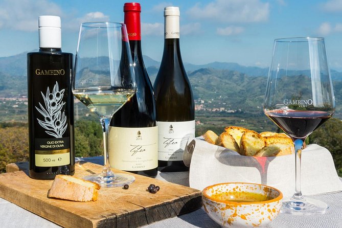 Private tour of Etna + Lunch in Pistachio Farm - Why this Etna tour feels easier than DIY