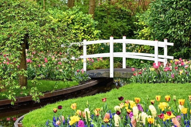 Private Tour to Tulips, Keukenhof, Windmills & Cheese Farm - Price and What You Actually Get for $470.43
