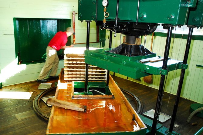 Private Tour with Owner of the Fly Creek Cider Mill & Orchard - Key highlights you’ll feel right away