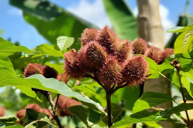 Private Tour Zanzibar Unique Stone Town with spice Farm Plantations - What the guides bring: friendly, calm, and flexible hosting