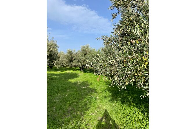 Private Traditional Olive Grove and Dragon Fruit Farm Tour - Views, Drinks, and How Long You’ll Actually Stay