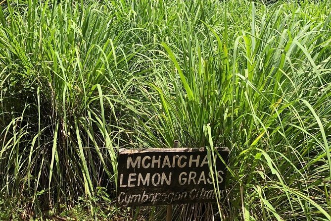 Private Zanzibar Spice Farm Tour - Price and what $65 buys you in real value