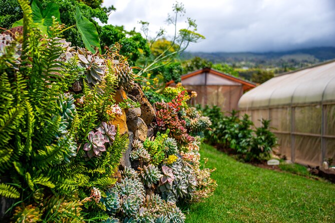 Pueo Farm Tour (1.5 hr) Upcountry Kula Maui Hawaii - Small-Group Value: The $60 Question That Actually Matters