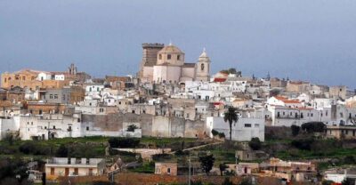 Puglia: Mozzarella Experience at an Apulian Farm - The 1.5-Hour Plan: From Milking Parlor to Cheese Shaping