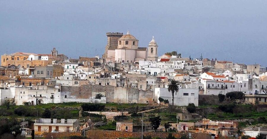 Puglia: Mozzarella Experience at an Apulian Farm - The 1.5-Hour Plan: From Milking Parlor to Cheese Shaping