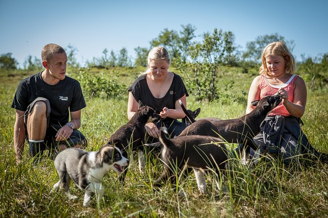 Puppy Training Experience at a Husky Farm in Tromso - Lunch at the husky farm: hearty, farm-style comfort