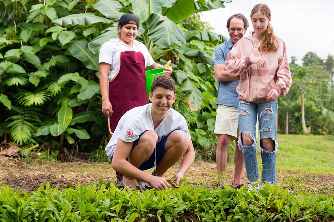 Pura Vida Cooking Class in La Fortuna (From farm to table) - The farm tour at La Finquita Farm: what you learn before you cook