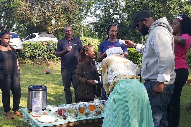Purple Tea Farm Tour from Nairobi City - Specialty Tea Tasting - Nature Walk to the Waterfall: Good Legs, Good Photos, Optional Bravery