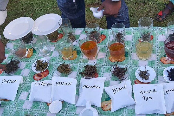 Purple Tea Farm Tour from Nairobi City - Specialty Tea Tasting - Buying Kenya Tea Leaves: Taking Home What You Liked