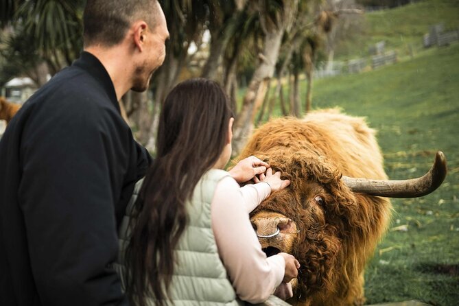 Queenstown Lake Cruise and Walter Peak Farm Adventure - Quick hits: what makes this tour special