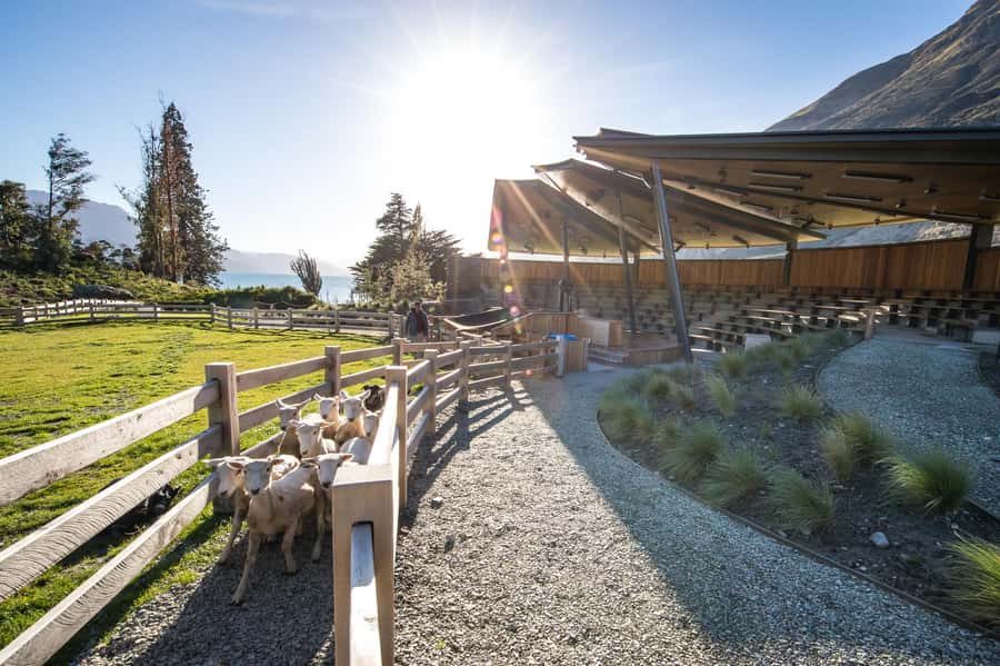 Queenstown: Queenstown Lake Cruise and Walter Peak Farm Tour - Price and value in Queenstown: from about $80 to $135–$155