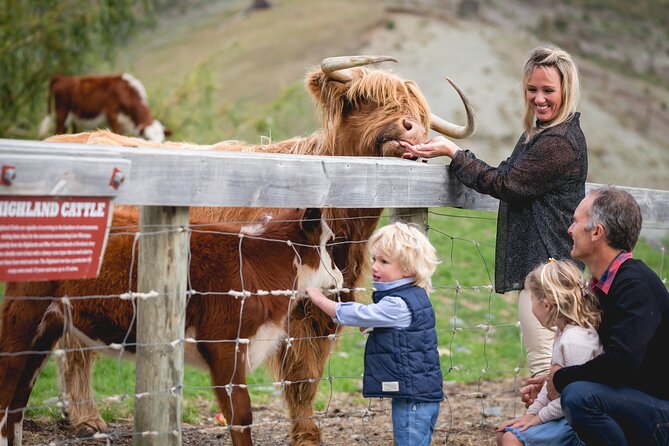Queenstown: Walter Peak Farm Tour and Lake Cruise - Key things I’d plan for