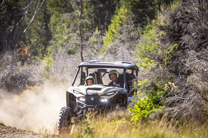 Queenstown: Walter Peak Farm Tour and Lake Cruise - Sheep shearing demonstration and Scottish Highland cattle
