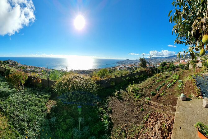 "Re-Canto" Farm-to-Table with Stunning Views at Madeira - The view over Funchal is part of the “course”