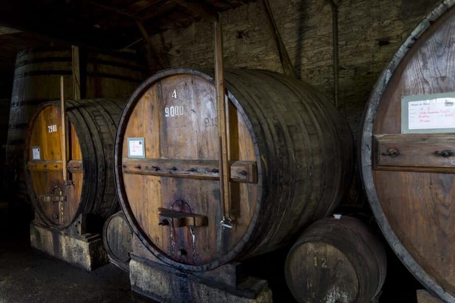 Régua: Wine Tasting at a Farm, Traditional Lunch, Cruise and Train - Key things to know before you go