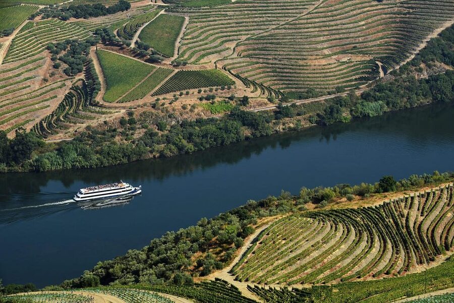Régua: Wine Tasting at a Farm, Traditional Lunch, Cruise and Train - Lunch at Quinta da Laceira: Traditional Farm Food With Unlimited Wine