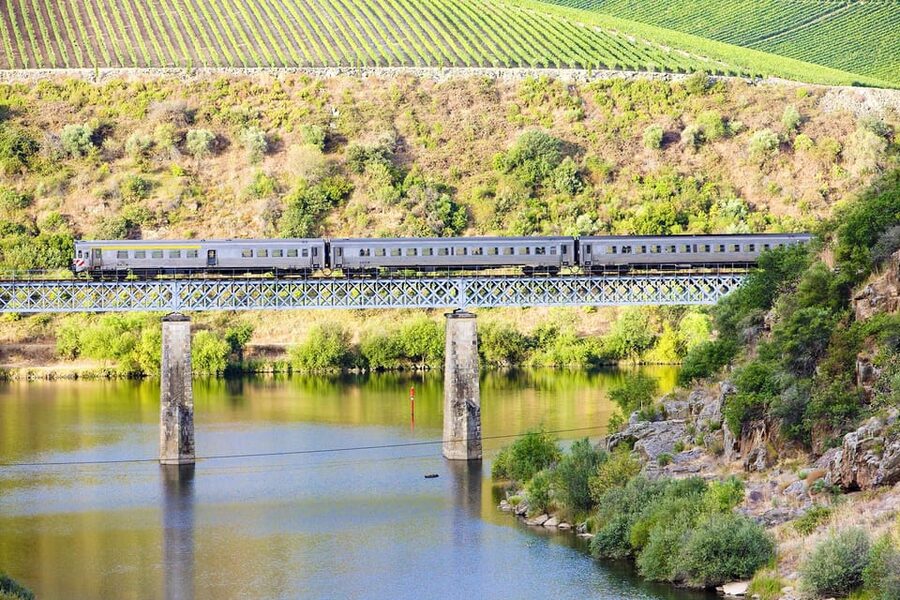 Régua: Wine Tasting at a Farm, Traditional Lunch, Cruise and Train - Cruise Time on the Douro: Régua to Pinhão by Boat