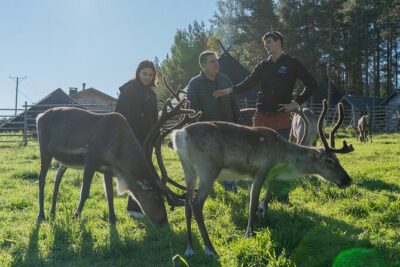 Reindeer Farm Experience in Summer and Autumn from Rovaniemi - Getting from Rovaniemi to the lake farm (and when pickup helps)