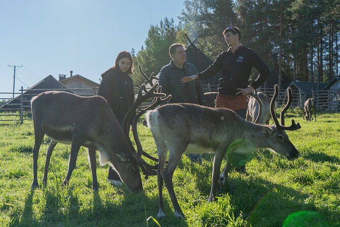 Reindeer Farm Experience in Summer and Autumn from Rovaniemi - Getting from Rovaniemi to the lake farm (and when pickup helps)