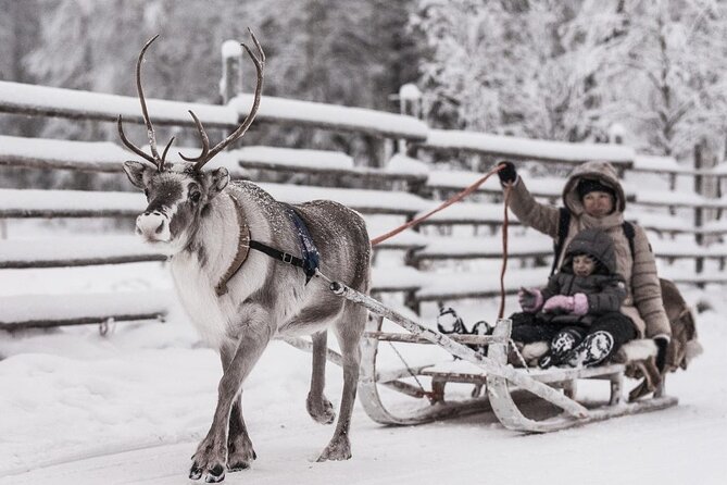 REINDEER FARM VISIT a real authentic experience - Key Highlights You’ll Actually Feel