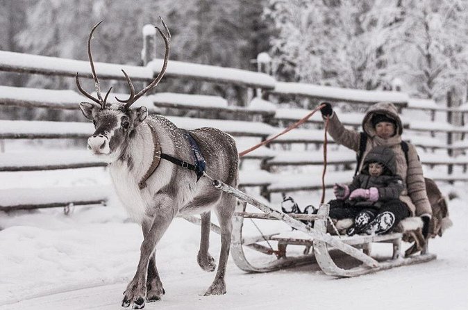 REINDEER FARM VISIT a real authentic experience - Small Group Comfort: Why Max 8 Matters More Than You Think