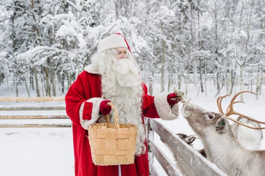Reindeer Farm Visit with Sleigh Ride - Guides, language, and why the story can make or break it