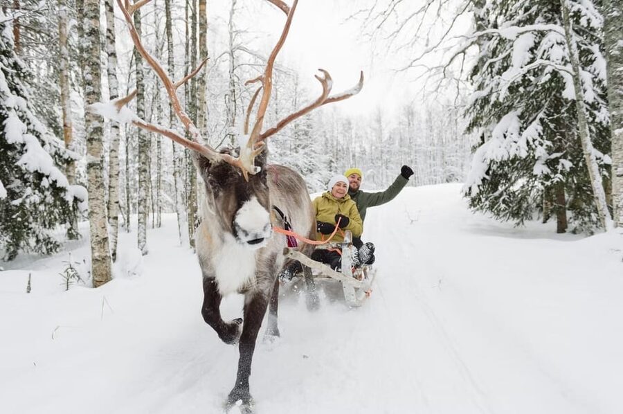 Reindeer Farm Visit with Sleigh Ride - Price and value: why $140 can feel fair or unfair