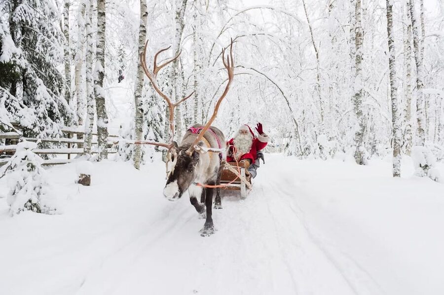 Reindeer Farm Visit with Sleigh Ride - Who should book this reindeer farm and sleigh ride?