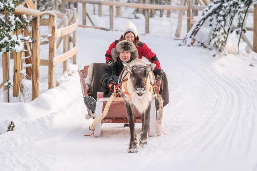 Reindeer Safari at a 200-Year-Old Farm & Long Sled Ride - A 200-Year-Old Rovaniemi Farm Where Reindeer Still Run the Day