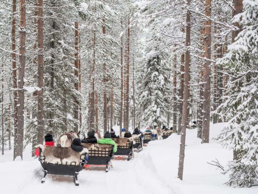 Reindeer Safari at a 200-Year-Old Farm & Long Sled Ride - Timing, Pickup, Group Size, and What the Tour Actually Includes