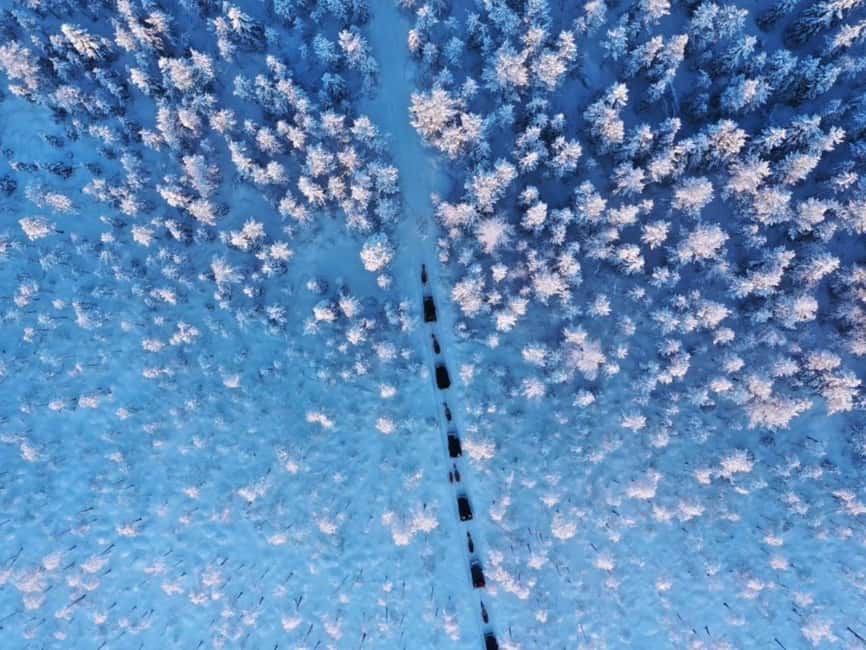 Reindeer Safari at a 200-Year-Old Farm & Long Sled Ride - How $260 Per Person Stacks Up for This Lapland Experience