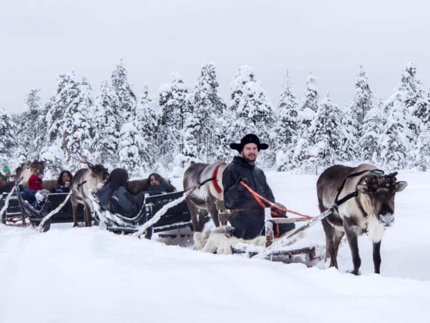 Reindeer Safari at a 200-Year-Old Farm & Long Sled Ride - Who This Reindeer Safari Fits Best (and Who Should Rethink It)