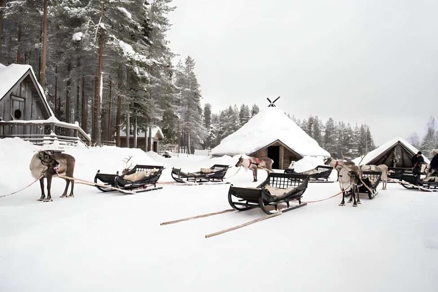 Reindeer Safari at a 200-Year-Old Farm & Long Sled Ride - Should You Book This Reindeer Safari?