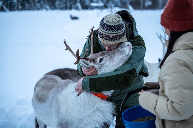 Reindeer Sledding, Feeding And Sami Culture At Reindeer Farm - Arriving at the Sámi Camp: Warm Clothing and a Real Welcome