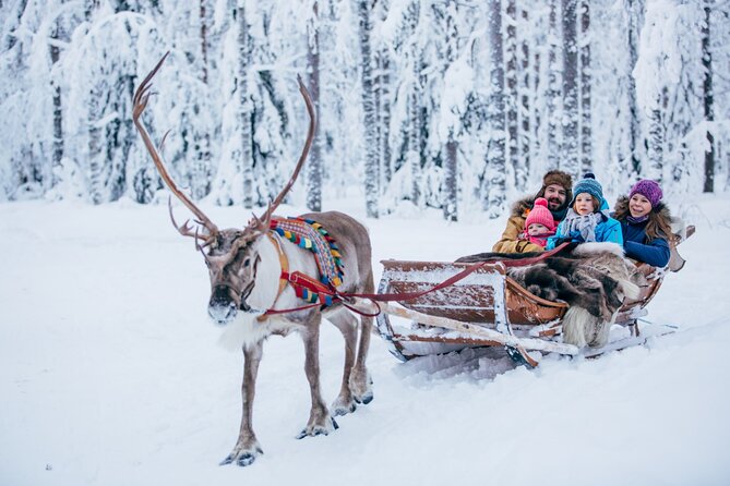 Reindeer Sleigh Ride and Farm Experience from Rovaniemi - Reindeer in Rovaniemi: what this farm-and-ride package is really about